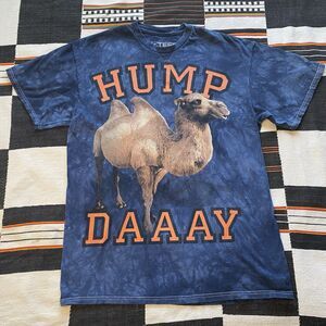 Y2K 3D The Mountain Hump Day Tie Dyed Graphic Tee Shirt. Large. Boho. Hippie.